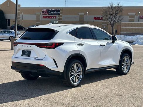 New 2025 Lexus NX 350h AWD w/ Premium Package image 12
