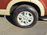 Used 2010 Ford Explorer Eddie Bauer image 5