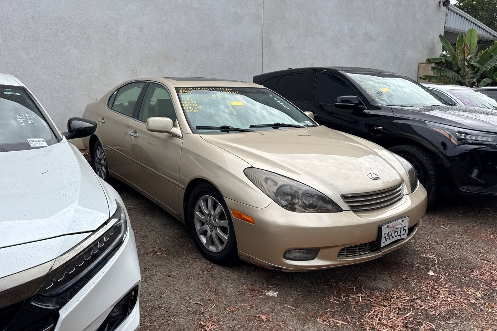 Used 2003 Lexus ES 330 w/ Premium Pkg FWD image 2