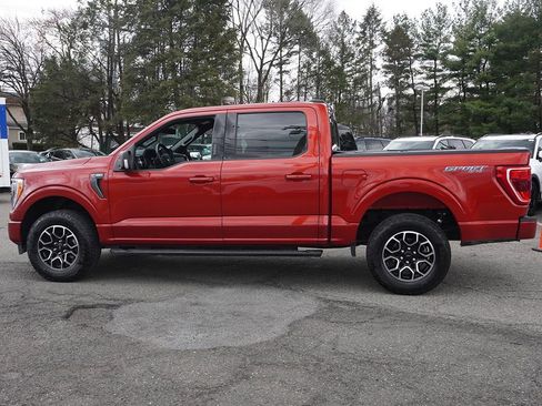 Used 2023 Ford F150 XLT w/ Equipment Group 302A High AWD/4WD image 16