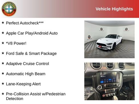 Used 2019 Ford Mustang GT w/ Equipment Group 301A image 2