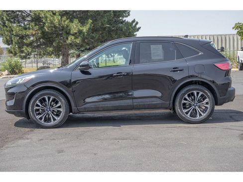 Used 2022 Ford Escape SEL w/ SEL Stealth AWD Package image 6