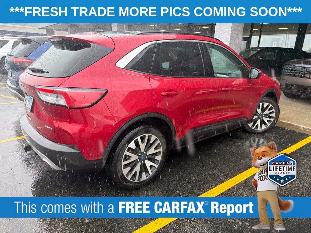 Used 2020 Ford Escape SEL AWD/4WD image 4
