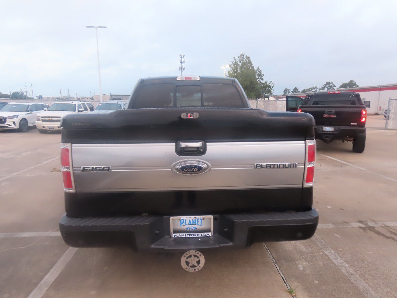 Used 2009 Ford F150 Platinum AWD/4WD image 13