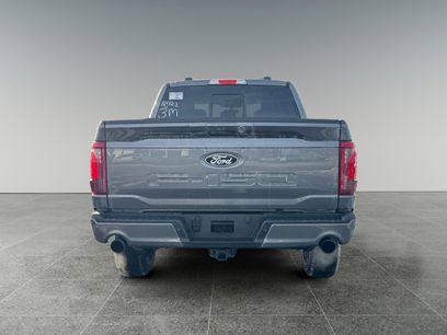 New 2026 Ford F150 XLT w/ Equipment Group 302A MID