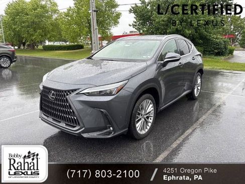 Certified 2025 Lexus NX 350h AWD w/ Cold Area Package image 1