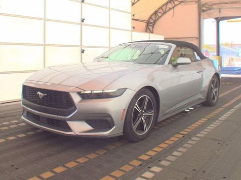 Used 2025 Ford Mustang Premium RWD image 1
