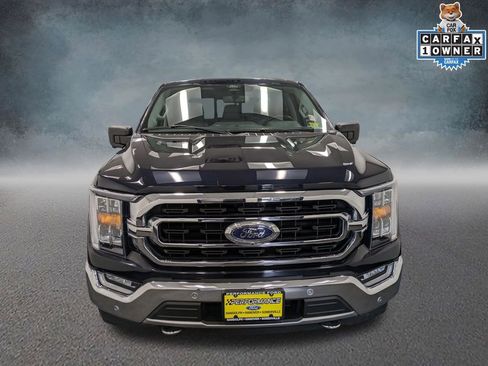 Used 2021 Ford F150 XLT w/ Equipment Group 302A High AWD/4WD image 2