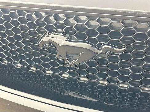 Certified 2019 Ford Mustang GT w/ Equipment Group 301A image 22