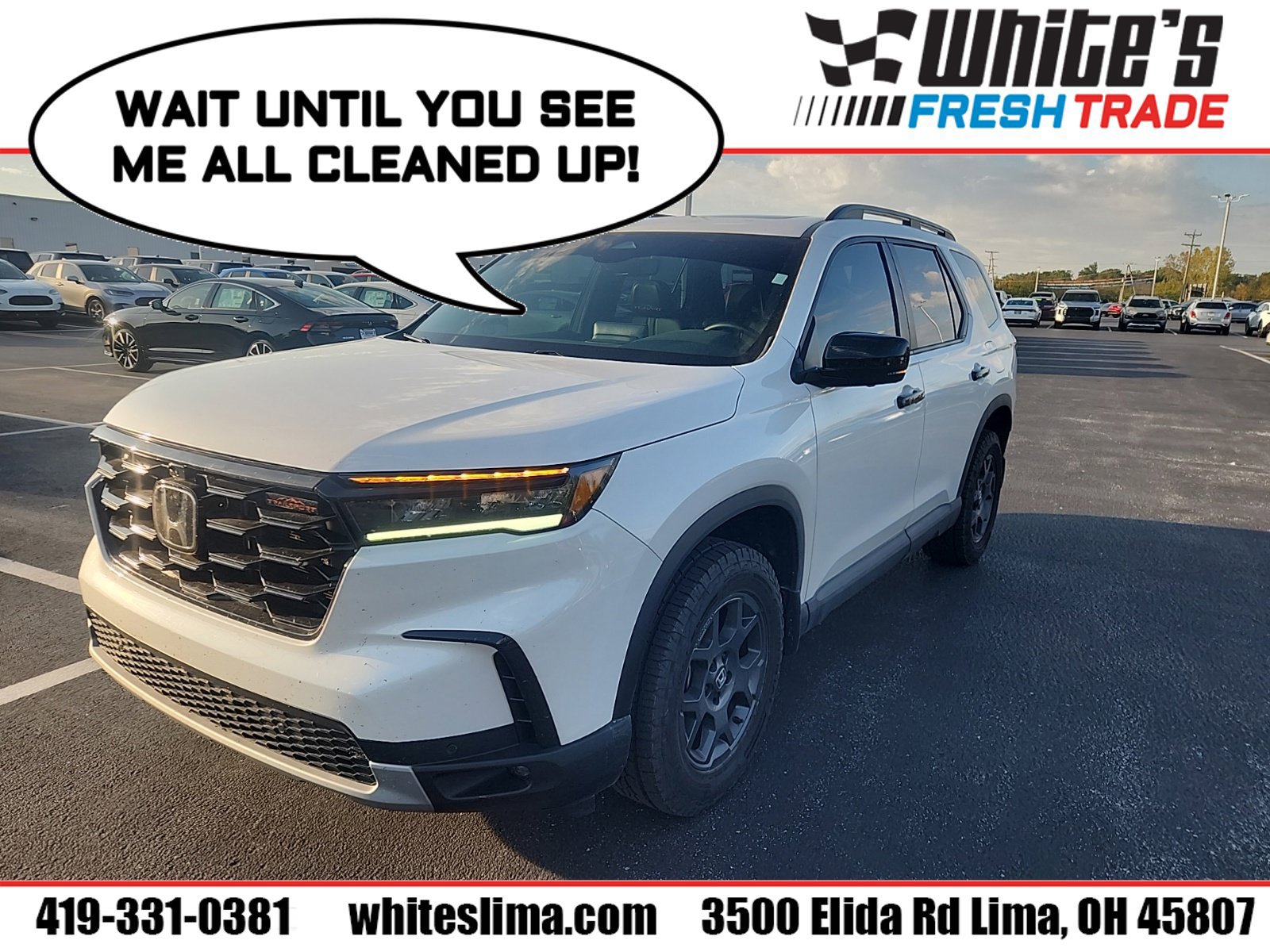 Used 2025 Honda Pilot TrailSport image 1