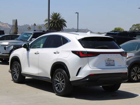 Certified 2024 Lexus NX 250 FWD w/ Cold Area Package image 19