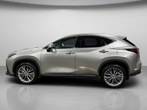 Used 2025 Lexus NX 350h AWD w/ Cold Area Package image 7