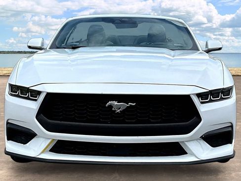 Used 2024 Ford Mustang Premium RWD image 2