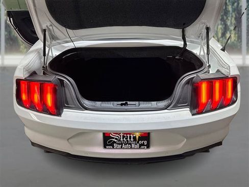 Used 2019 Ford Mustang Premium w/ Equipment Group 201A image 12