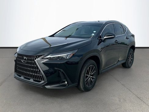 Used 2025 Lexus NX 350 AWD w/ Cold Area Package image 3