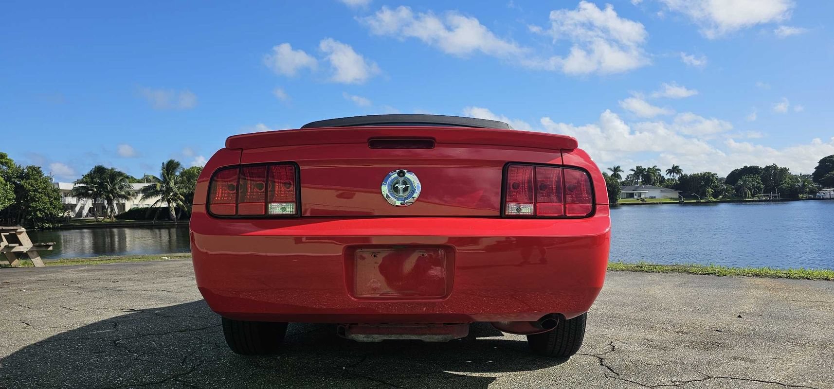 Used 2009 Ford Mustang Premium RWD image 4