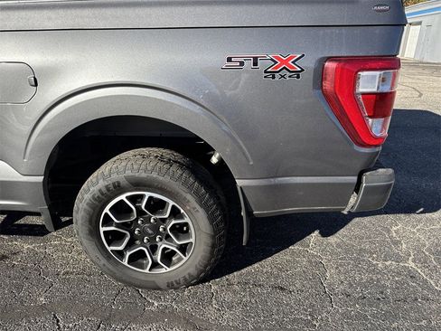 Used 2023 Ford F150 XL w/ STX Appearance Package image 7