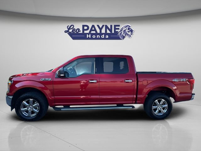 Used 2020 Ford F150 XLT w/ Equipment Group 302A Luxury AWD/4WD image 4