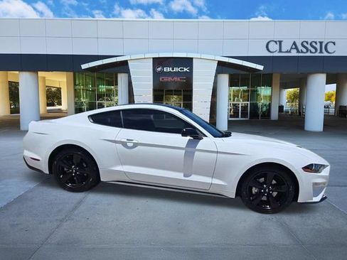 Used 2023 Ford Mustang Premium w/ Mustang Nite Pony Package RWD image 9