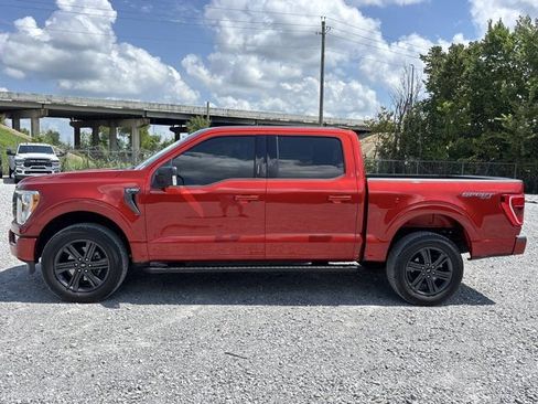 Used 2023 Ford F150 XLT w/ Equipment Group 302A High AWD/4WD image 7