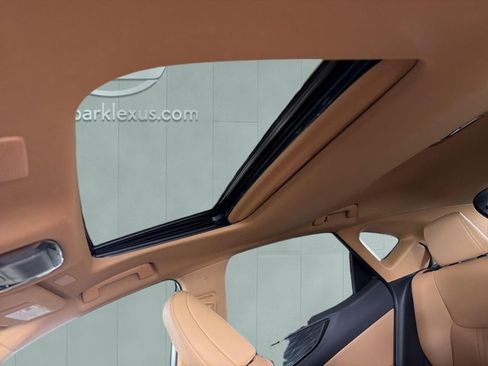Certified 2025 Lexus NX 250 FWD w/ Cold Area Package image 22