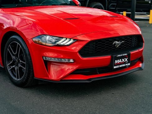 Used 2019 Ford Mustang Premium RWD image 4
