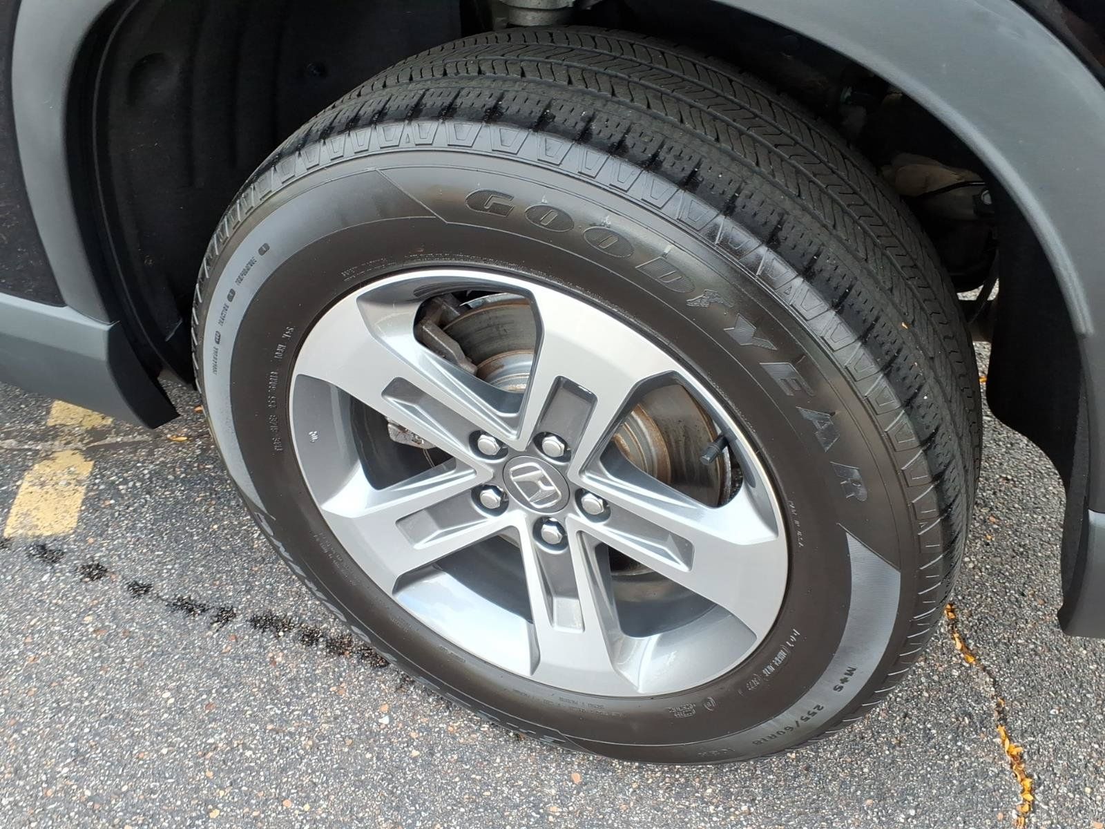 Used 2024 Honda Pilot EX-L image 13
