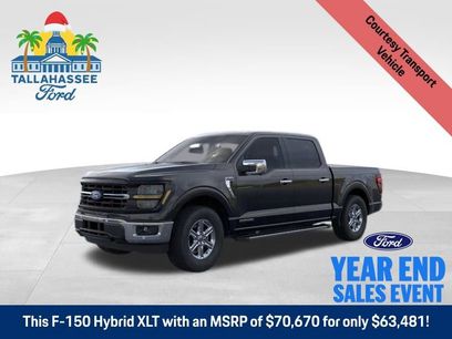 New 2025 Ford F150 XLT w/ Equipment Group 302A MID