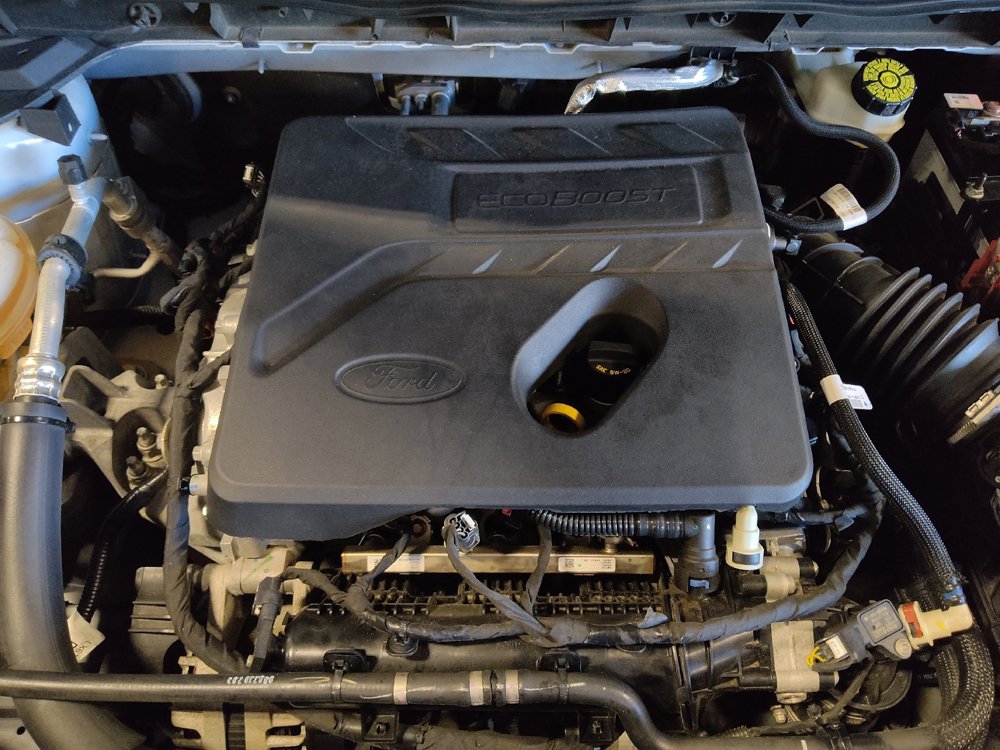Used 2020 Ford Escape SE FWD image 30