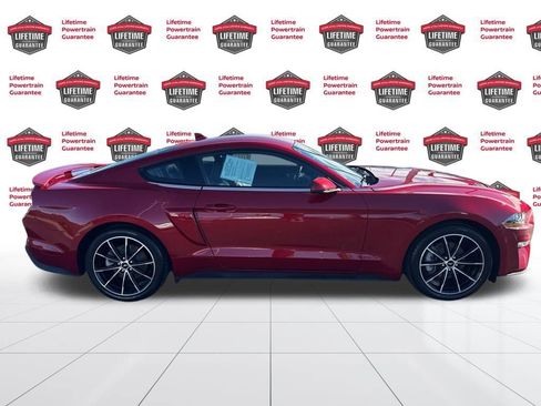 Used 2023 Ford Mustang Premium w/ Equipment Group 201A image 4