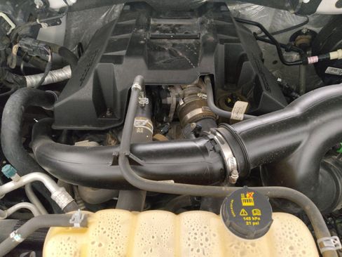 Used 2017 Ford F150 XLT w/ Equipment Group 302A Luxury RWD image 30