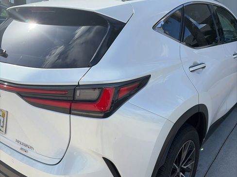 Used 2024 Lexus NX 350h AWD image 6