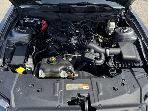 Used 2014 Ford Mustang Premium w/ Equipment Group 201A RWD image 9