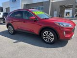 Used 2020 Ford Escape SEL image 2