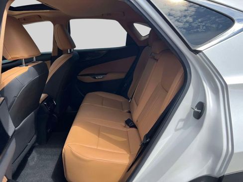 Used 2024 Lexus NX 350 AWD w/ Cold Area Package image 12