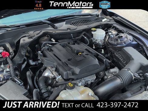 Used 2019 Ford Mustang Coupe RWD image 10