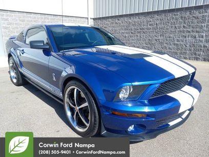Used 2008 Ford Mustang Shelby GT500