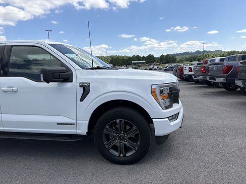 Used 2023 Ford F150 XLT w/ Equipment Group 302A High AWD/4WD image 2