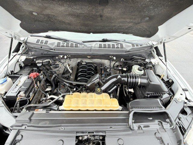 Used 2016 Ford F150 XL w/ Equipment Group 101A Mid AWD/4WD image 21