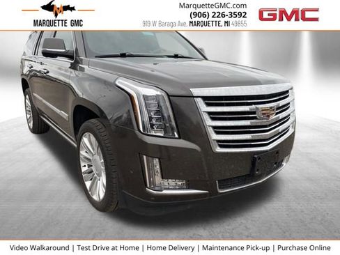 Used 2020 Cadillac Escalade Platinum AWD/4WD image 1