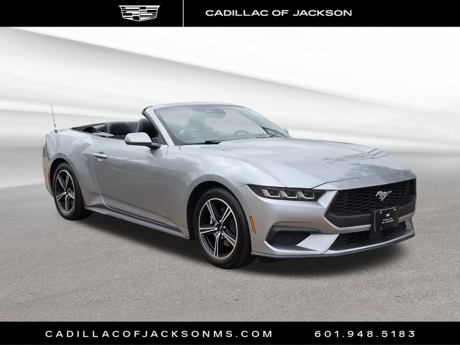 Used 2025 Ford Mustang Premium RWD image 2