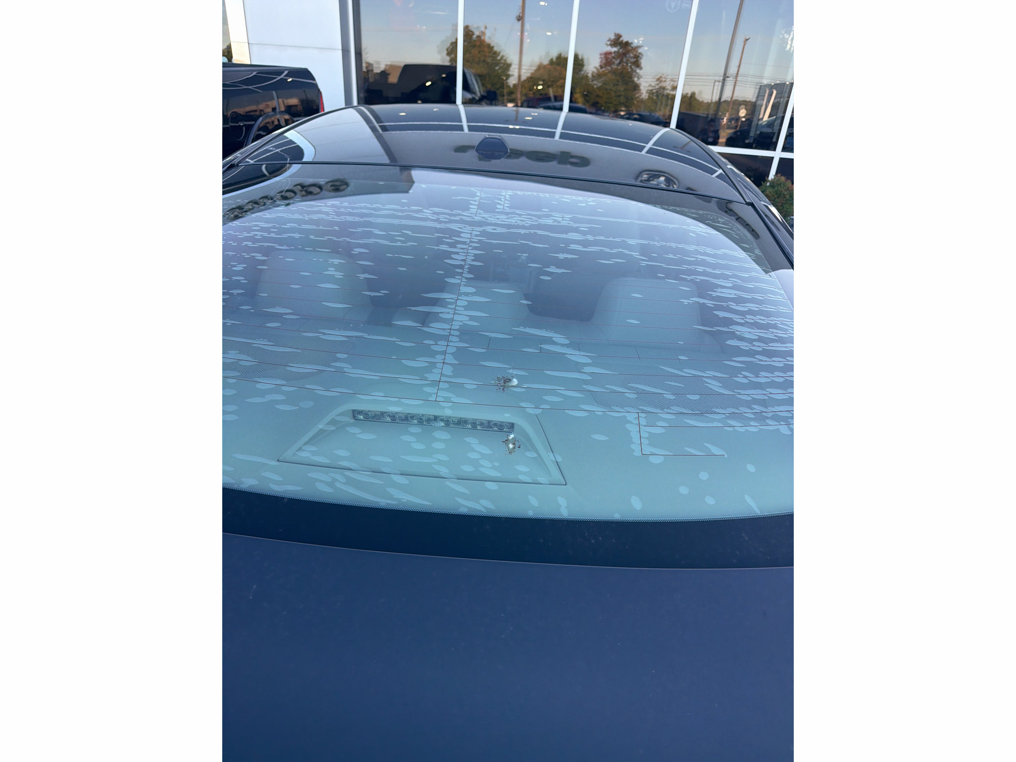 Used 2019 Nissan Altima 2.5 Platinum FWD image 7