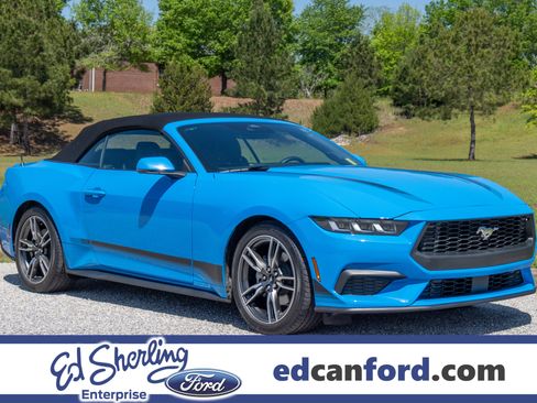 Used 2024 Ford Mustang Premium image 1