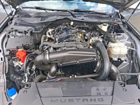 Used 2024 Ford Mustang Premium RWD image 20