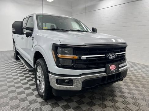 Used 2025 Ford F150 XLT w/ Equipment Group 303A High AWD/4WD image 1