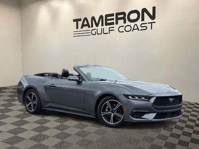 Used 2024 Ford Mustang Premium