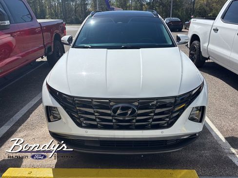 Used 2024 Hyundai Tucson Limited image 2