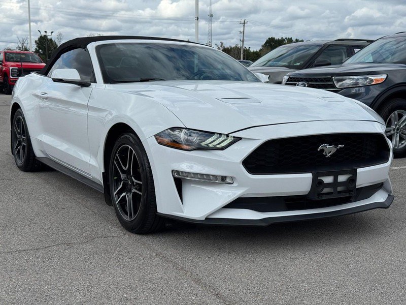 Used 2019 Ford Mustang Premium RWD image 2