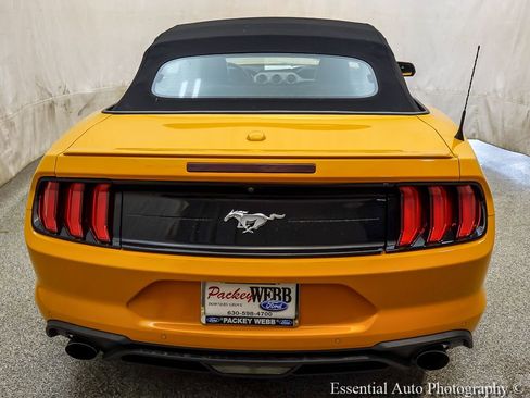 Used 2019 Ford Mustang Premium w/ Equipment Group 201A RWD image 8