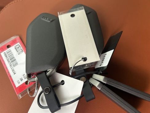 New 2026 Kia Carnival EX image 35